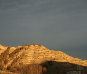 Thanksgiving 2008 155